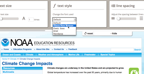 User Interface Options component displayed at the top of a web page
